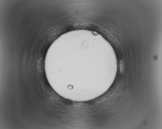 X0000116861059201001191657