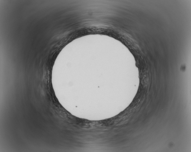 X0000116861061201001191657