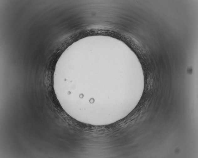 X0000116861062201001191657