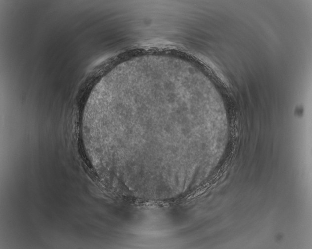 X0000116861063201001191656