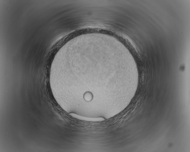 X0000116861064201001191656