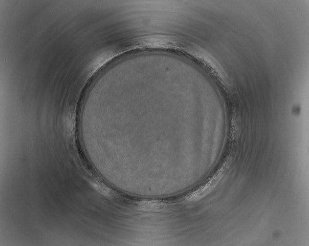 X0000116861065201001191656