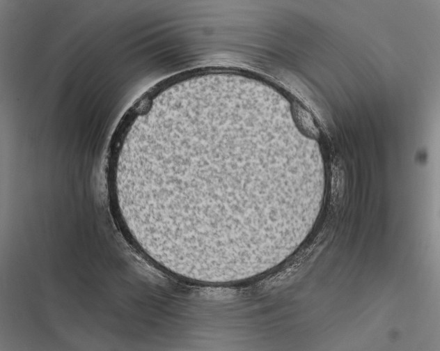 X0000116861068201001191656