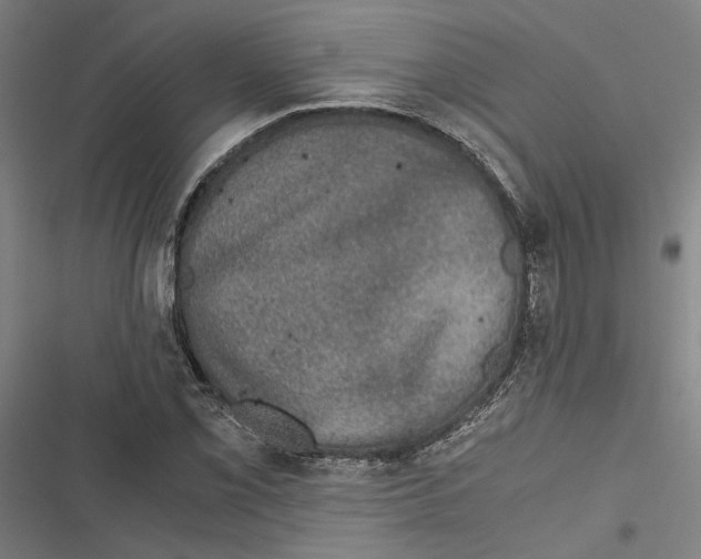 X0000116861069201001191656