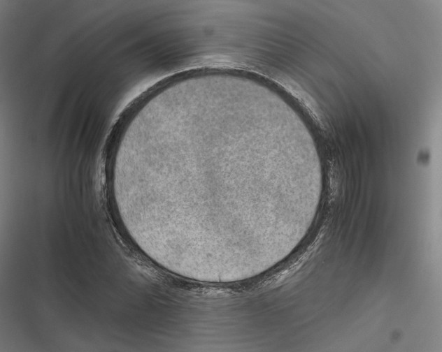 X0000116861070201001191656