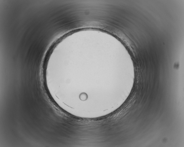 X0000116861072201001191656