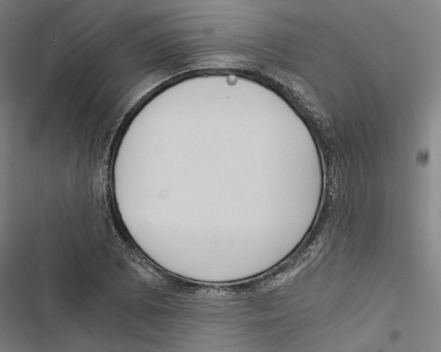 X0000116861073201001191656