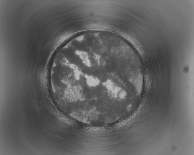 X0000116861074201001191656