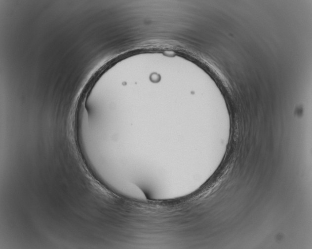 X0000116861075201001191656