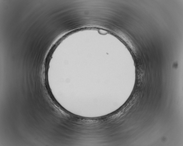 X0000116861076201001191656