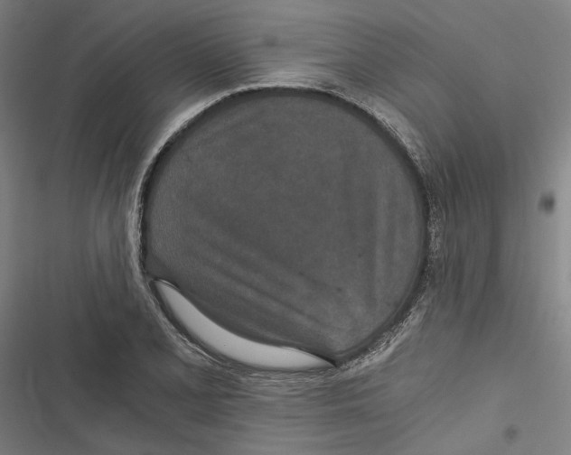 X0000116861077201001191656