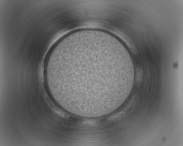 X0000116861078201001191656