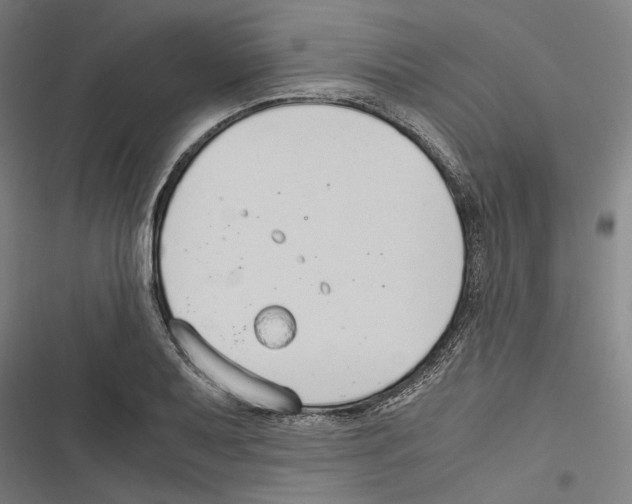 X0000116861079201001191656