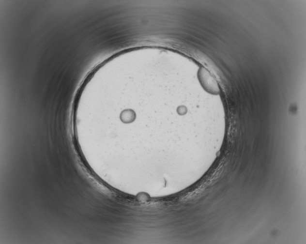 X0000116861080201001191656