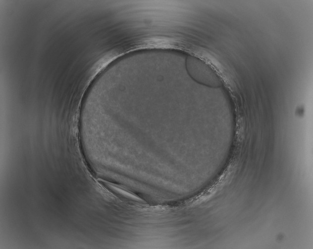 X0000116861081201001191656