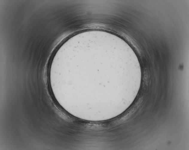 X0000116861082201001191656