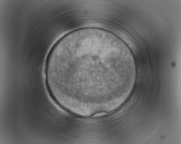 X0000116861084201001191656