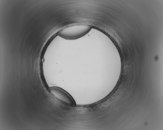 X0000116861085201001191656