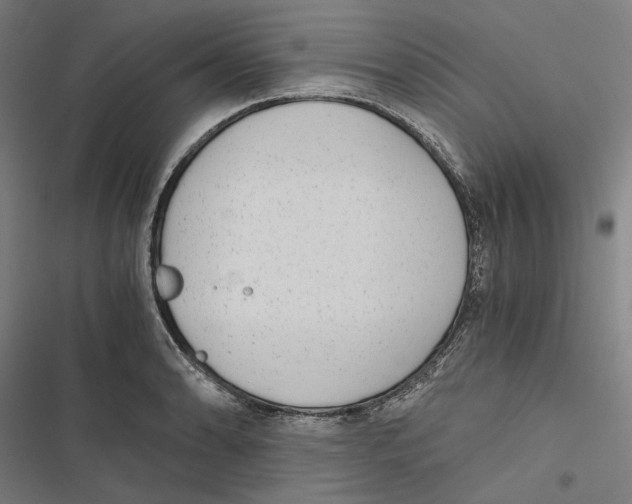 X0000116861086201001191656