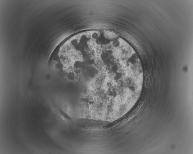 X0000116861087201001191656