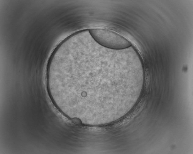 X0000116861088201001191656