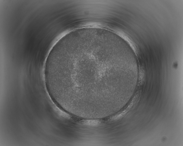 X0000116861090201001191656