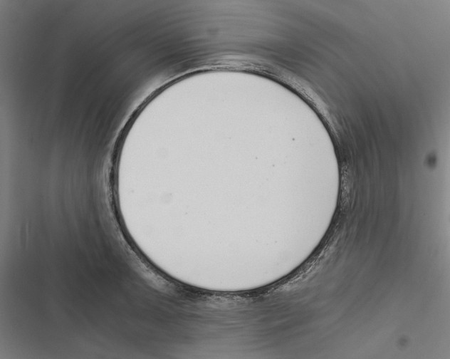 X0000116861091201001191656