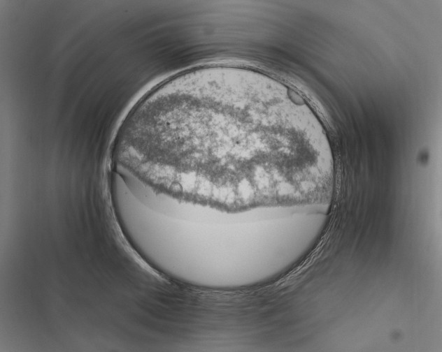 X0000116861092201001191656