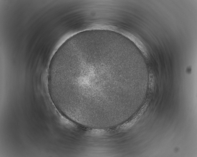 X0000116861094201001191656