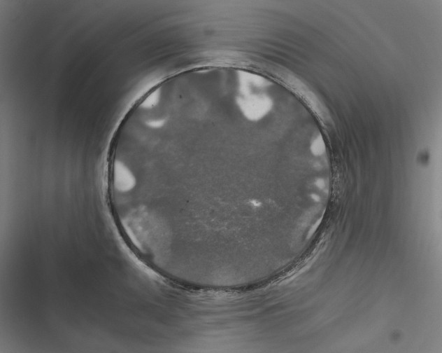 X0000116861095201001191656