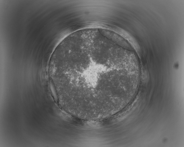 X0000116861097201001191656