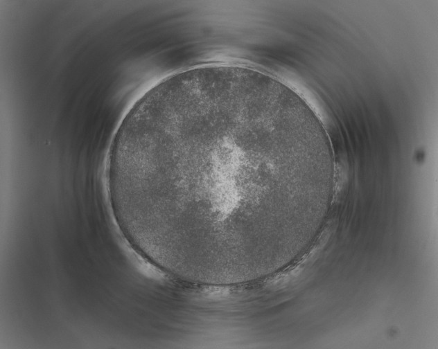 X0000116861098201001191656