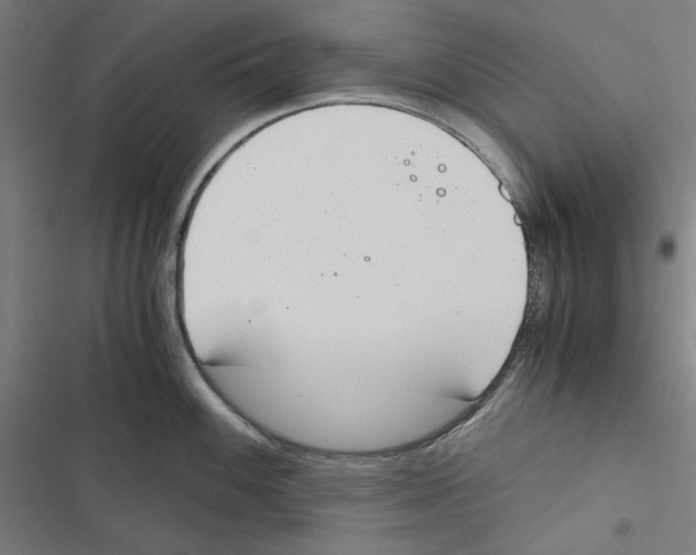 X0000116861100201001191656