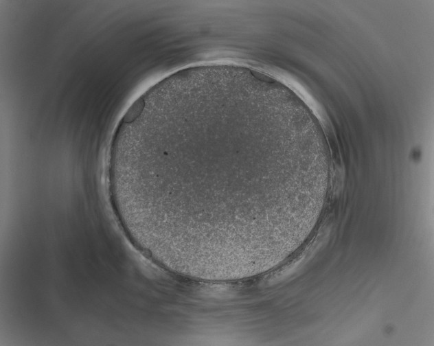 X0000116861101201001191656