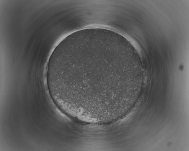 X0000116861102201001191656