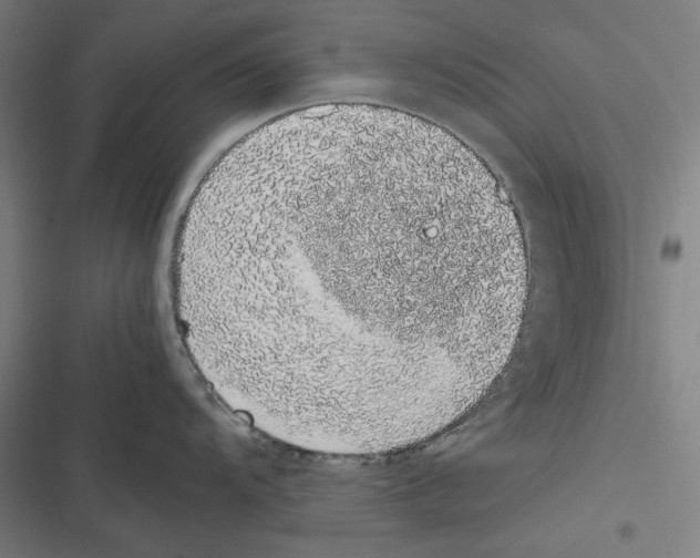 X0000116861104201001191656