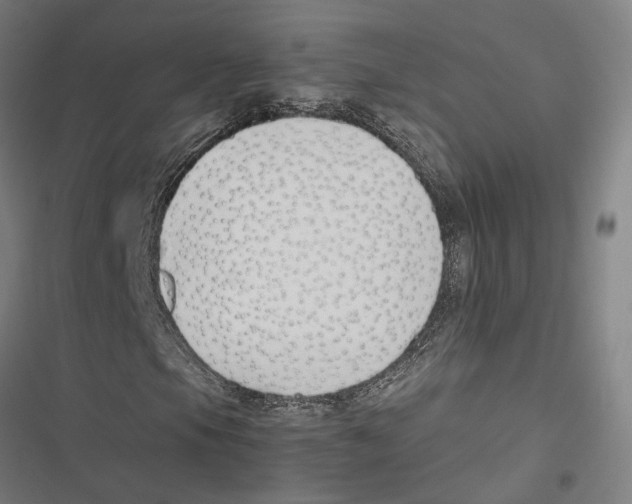 X0000116861105201001191655