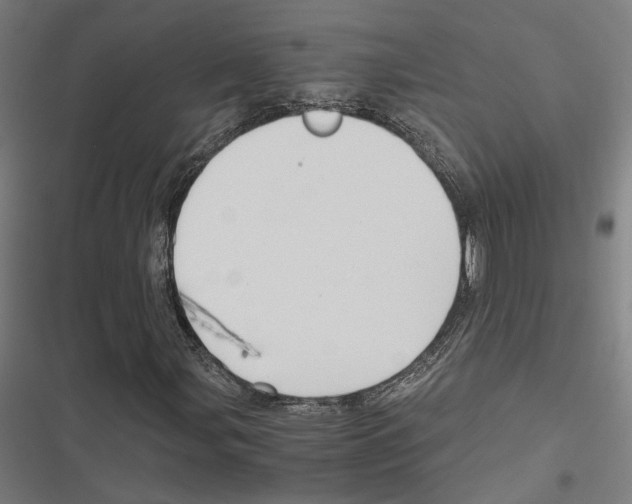 X0000116861107201001191655