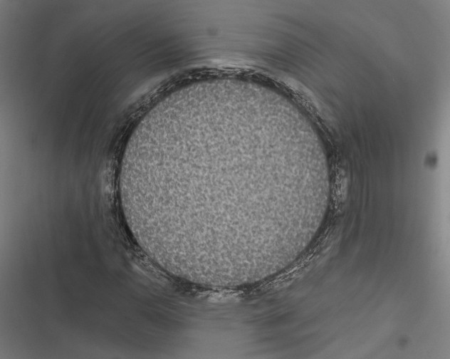 X0000116861110201001191655