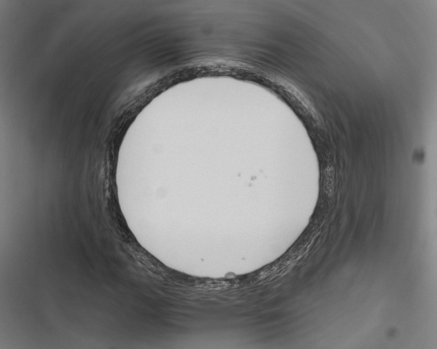 X0000116861111201001191655