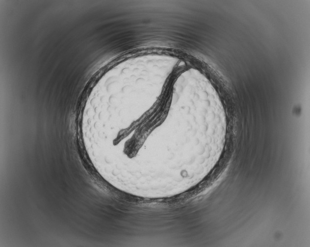 X0000116861113201001191655