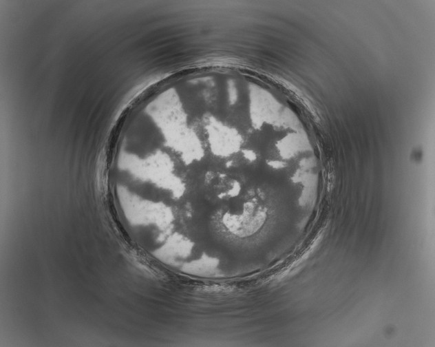 X0000116861117201001191655