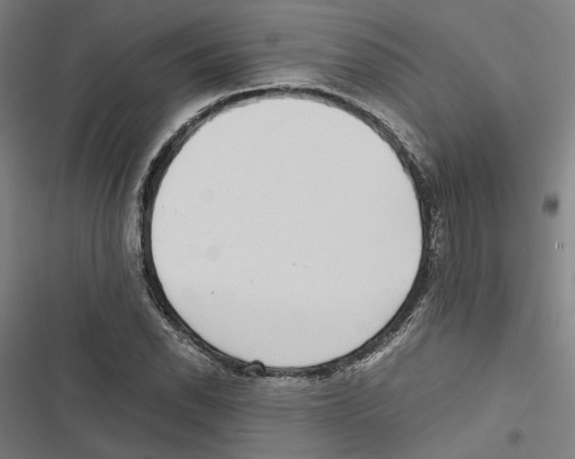 X0000116861118201001191655