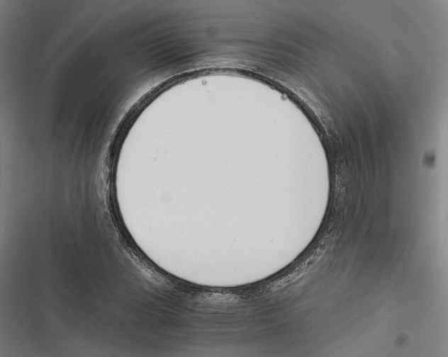 X0000116861119201001191655