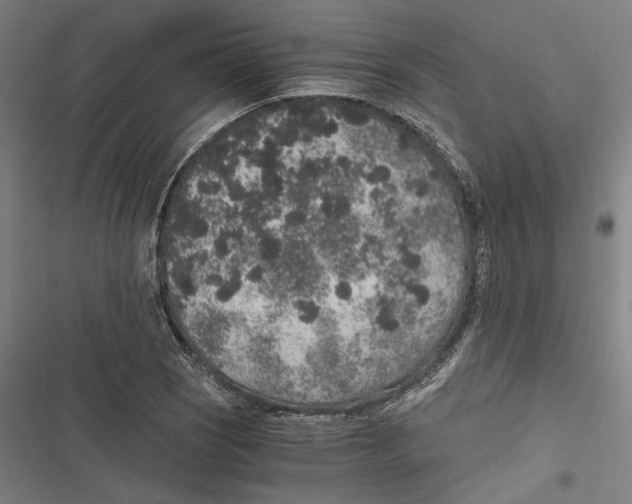 X0000116861121201001191656