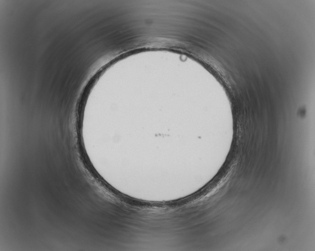 X0000116861122201001191656