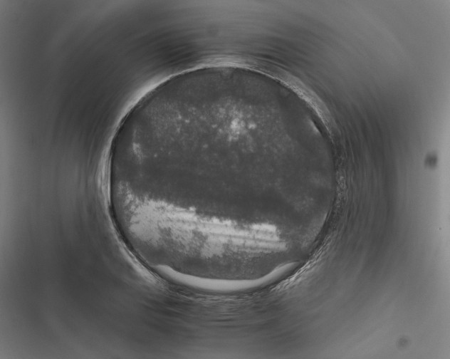 X0000116861127201001191656