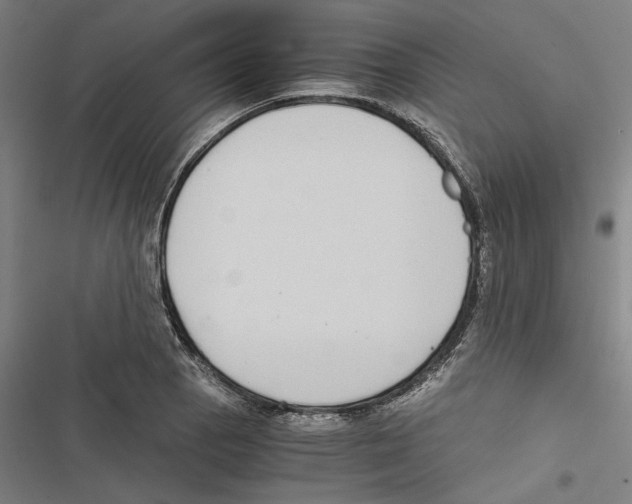 X0000116861129201001191656