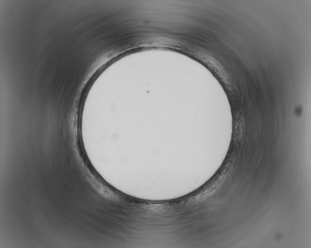 X0000116861130201001191656