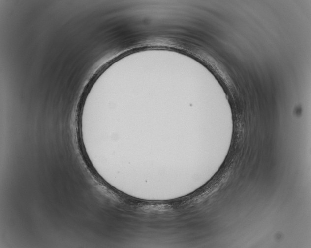 X0000116861133201001191656